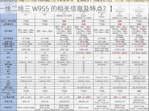 欧洲无线一线二线三W955【请详细介绍一下欧洲无线一线二线三 W955 的相关信息及特点？】