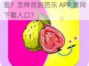 芭乐 APP 官网下载入口在哪里？怎样找到芭乐 APP 官网下载入口？