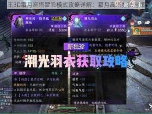 万王之王3D霜月高塔冒险模式攻略详解：霜月高塔打法与策略解析