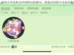 球球大作战新光环绿野仙踪曝光，图鉴及获取方法抢先看