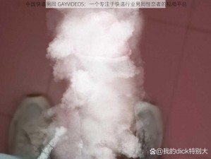 中国快递男同 GAYVIDEOS：一个专注于快递行业男同性恋者的视频平台