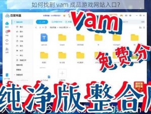 如何找到 vam 成品游戏网站入口？