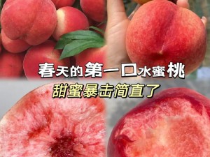 为什么找不到蜜桃成品人视频入口？如何轻松找到蜜桃成品人视频入口？怎样快速找到蜜桃成品人视频入口？