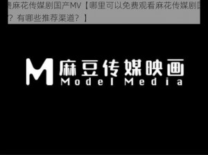 免费麻花传媒剧国产MV【哪里可以免费观看麻花传媒剧国产 MV？有哪些推荐渠道？】