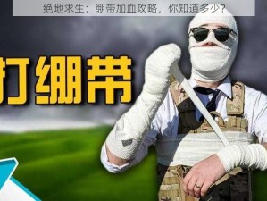 绝地求生：绷带加血攻略，你知道多少？