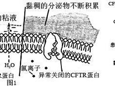 跨越星弧囊体怎么获得？快速刷取囊体方法介绍