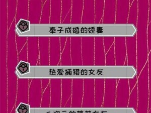 《太太 2 关大揭秘：勇闯妖姬葵的秘密关系》