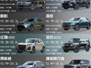 国产SUV精品一区二区、请详细介绍一下国产 SUV 精品一区二区的具体车型及特点？