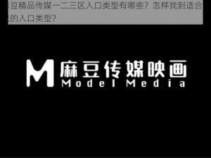 麻豆精品传媒一二三区入口类型有哪些？怎样找到适合自己的入口类型？