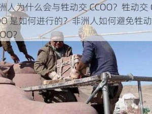 非洲人为什么会与牲动交 CCOO？牲动交 CCOO 是如何进行的？非洲人如何避免牲动交 CCOO？