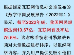 国语露脸 CHINA PAGE1：为何它能成为 SEO 优化的关键？