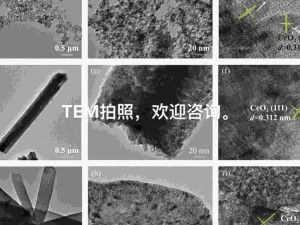 Temtem撕裂现象揭秘：TC012区域撕裂位置详解与特点分析