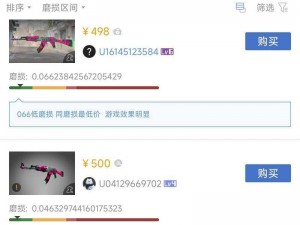 暴躁妹子 CSgo 玩家必备游戏神器，提升你的游戏体验