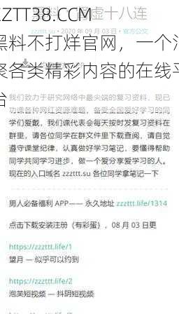 ZZTT38.CCM 黑料不打烊官网，一个汇聚各类精彩内容的在线平台