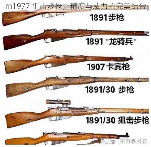 m1977 狙击步枪，精度与威力的完美结合