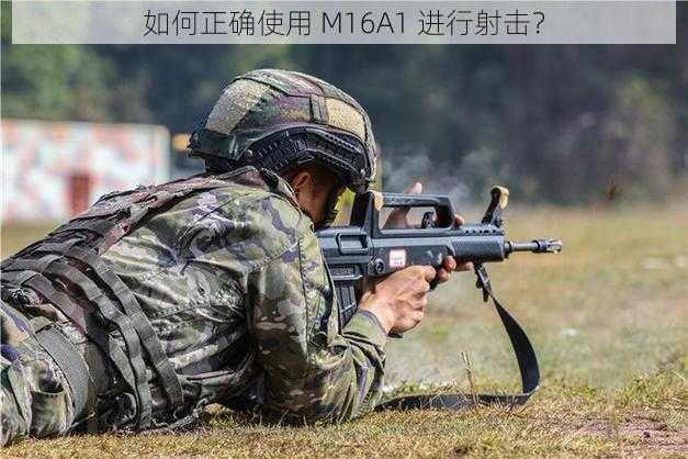 如何正确使用 M16A1 进行射击？