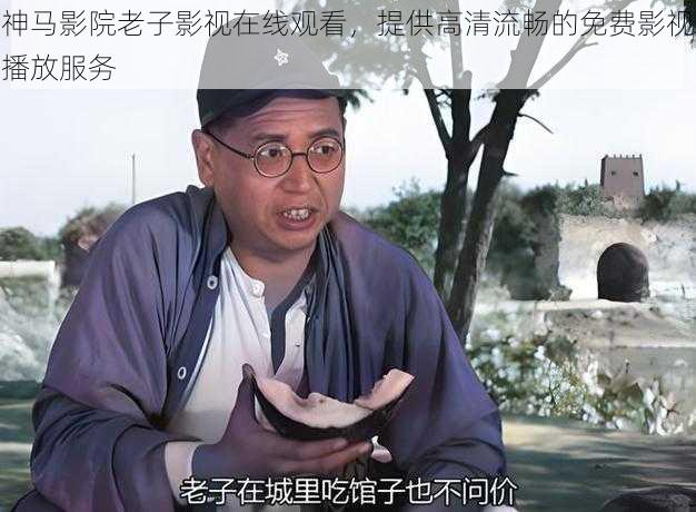 神马影院老子影视在线观看，提供高清流畅的免费影视播放服务