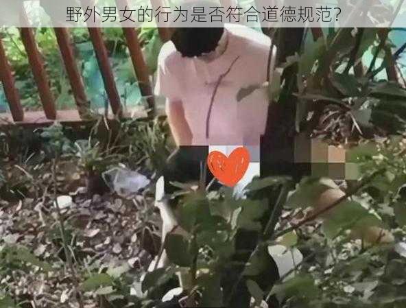 野外男女的行为是否符合道德规范？