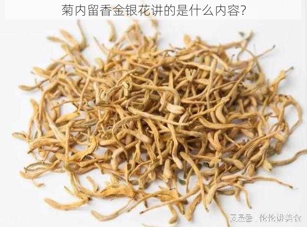 菊内留香金银花讲的是什么内容？