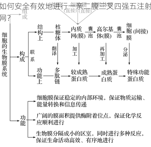 如何安全有效地进行一亲二膜三叉四强五注射网？