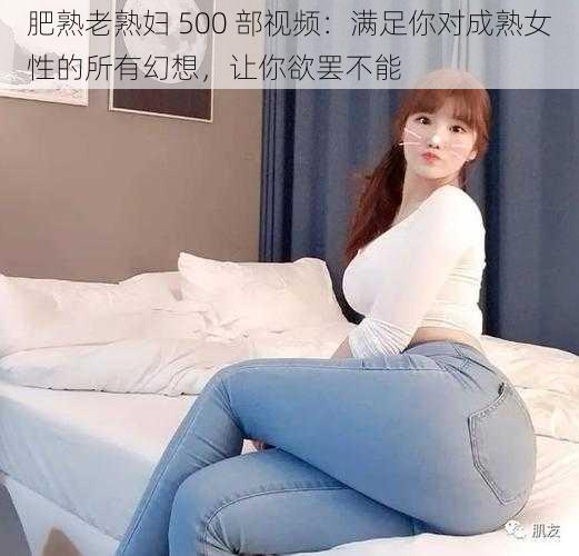 肥熟老熟妇 500 部视频：满足你对成熟女性的所有幻想，让你欲罢不能