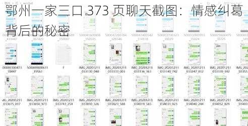 鄂州一家三口 373 页聊天截图：情感纠葛背后的秘密