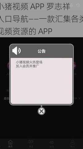 小猪视频 APP 罗志祥入口导航——一款汇集各类视频资源的 APP