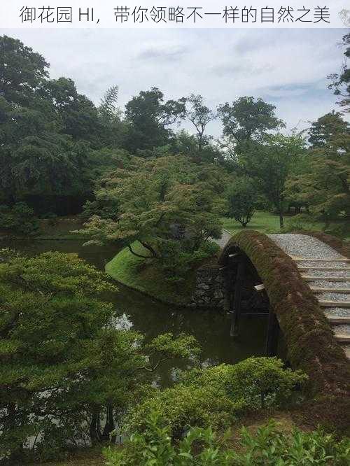 御花园 HI，带你领略不一样的自然之美