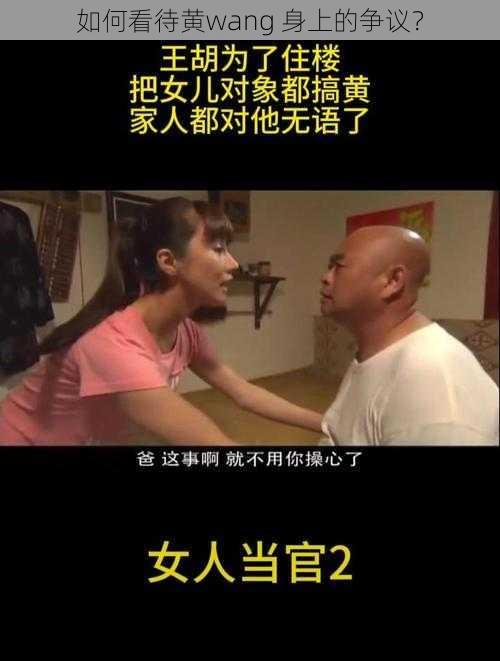 如何看待黄wang 身上的争议？