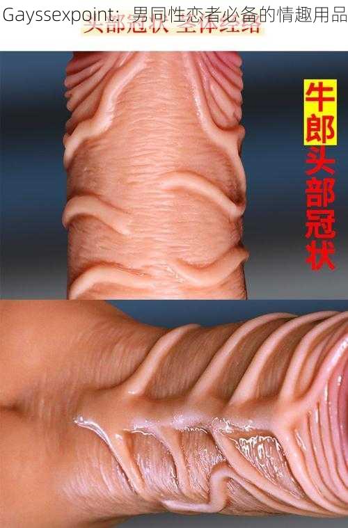 Gayssexpoint：男同性恋者必备的情趣用品