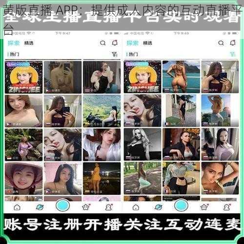 黄版直播 APP：提供成人内容的互动直播平台