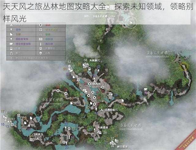 天天风之旅丛林地图攻略大全：探索未知领域，领略别样风光