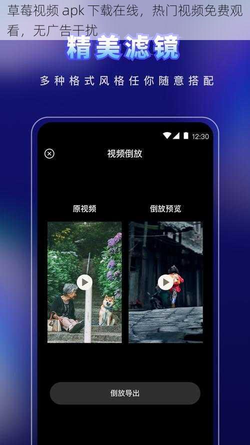 草莓视频 apk 下载在线，热门视频免费观看，无广告干扰