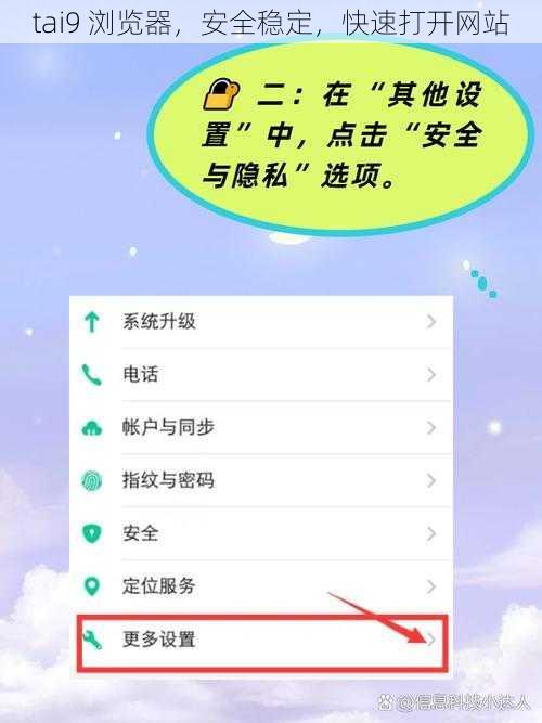 tai9 浏览器，安全稳定，快速打开网站