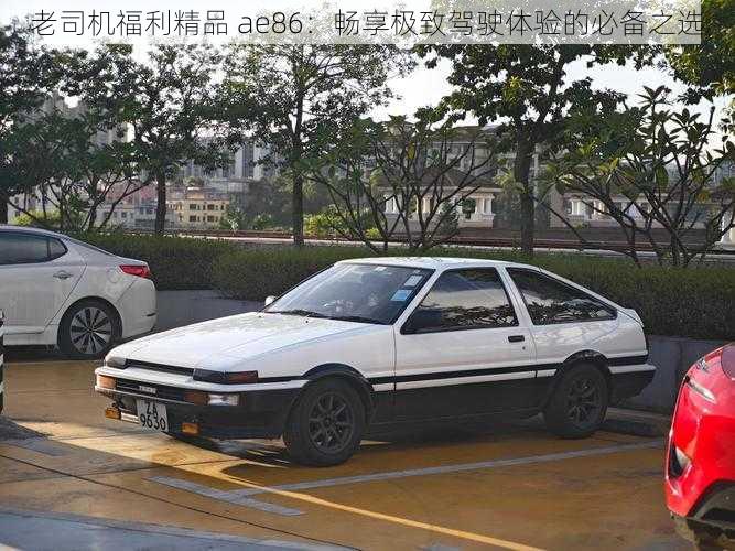 老司机福利精品 ae86：畅享极致驾驶体验的必备之选