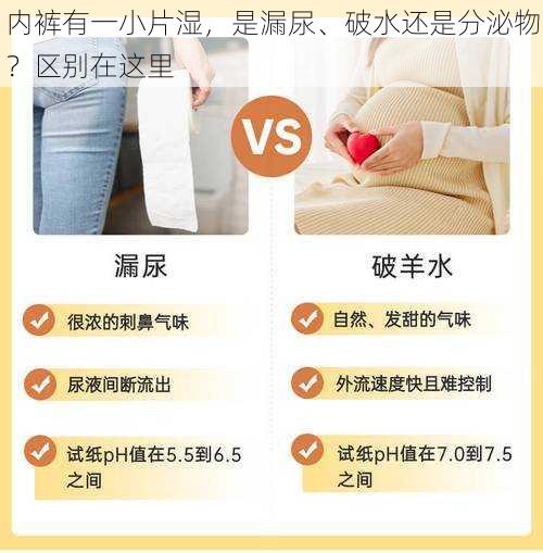 内裤有一小片湿，是漏尿、破水还是分泌物？区别在这里