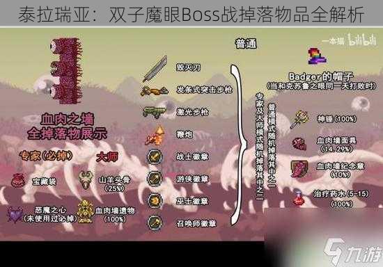 泰拉瑞亚：双子魔眼Boss战掉落物品全解析