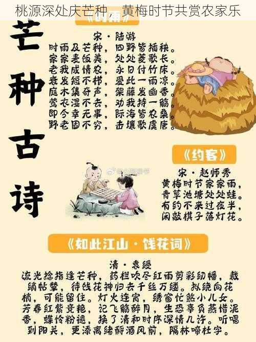 桃源深处庆芒种，黄梅时节共赏农家乐