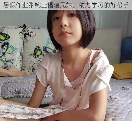 暑假作业张婉莹福建兄妹，助力学习的好帮手