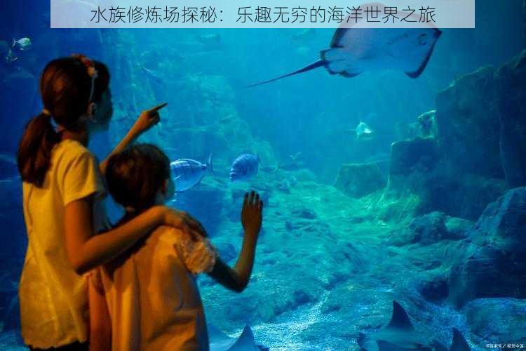 水族修炼场探秘：乐趣无穷的海洋世界之旅