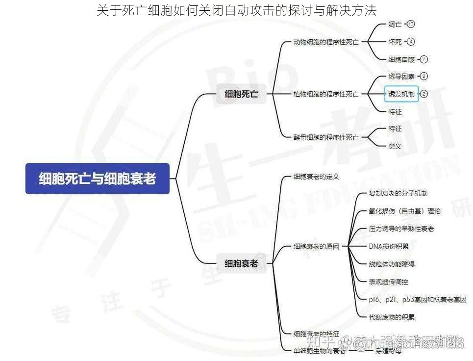 关于死亡细胞如何关闭自动攻击的探讨与解决方法