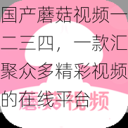 国产蘑菇视频一二三四，一款汇聚众多精彩视频的在线平台