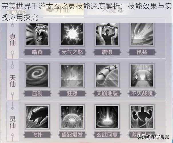 完美世界手游太玄之灵技能深度解析：技能效果与实战应用探究