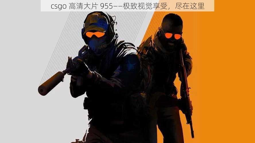 csgo 高清大片 955——极致视觉享受，尽在这里