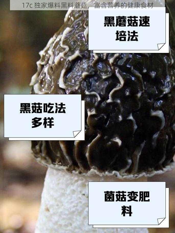 17c 独家爆料黑料蘑菇，富含营养的健康食材