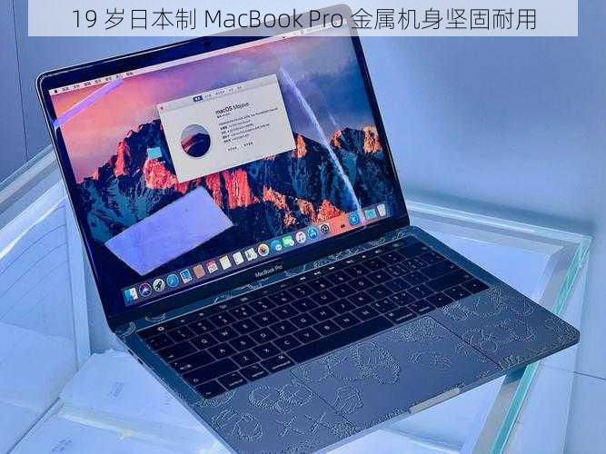 19 岁日本制 MacBook Pro 金属机身坚固耐用