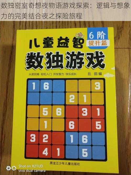 数独密室奇想夜物语游戏探索：逻辑与想象力的完美结合夜之探险旅程