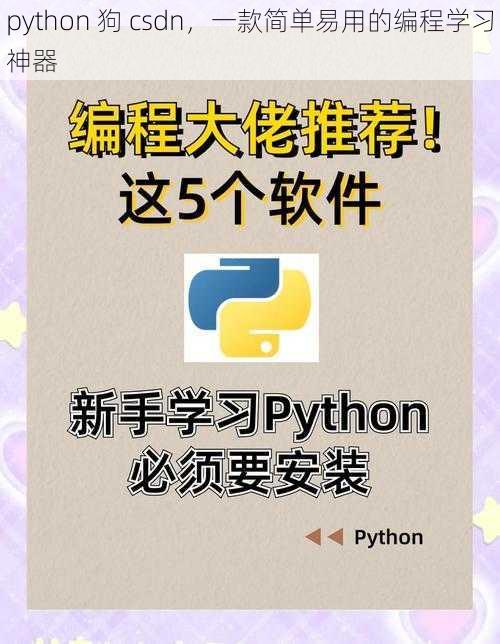 python 狗 csdn，一款简单易用的编程学习神器