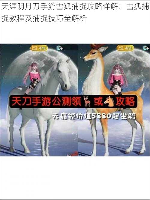 天涯明月刀手游雪狐捕捉攻略详解：雪狐捕捉教程及捕捉技巧全解析