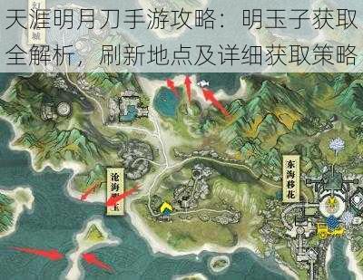 天涯明月刀手游攻略：明玉子获取全解析，刷新地点及详细获取策略